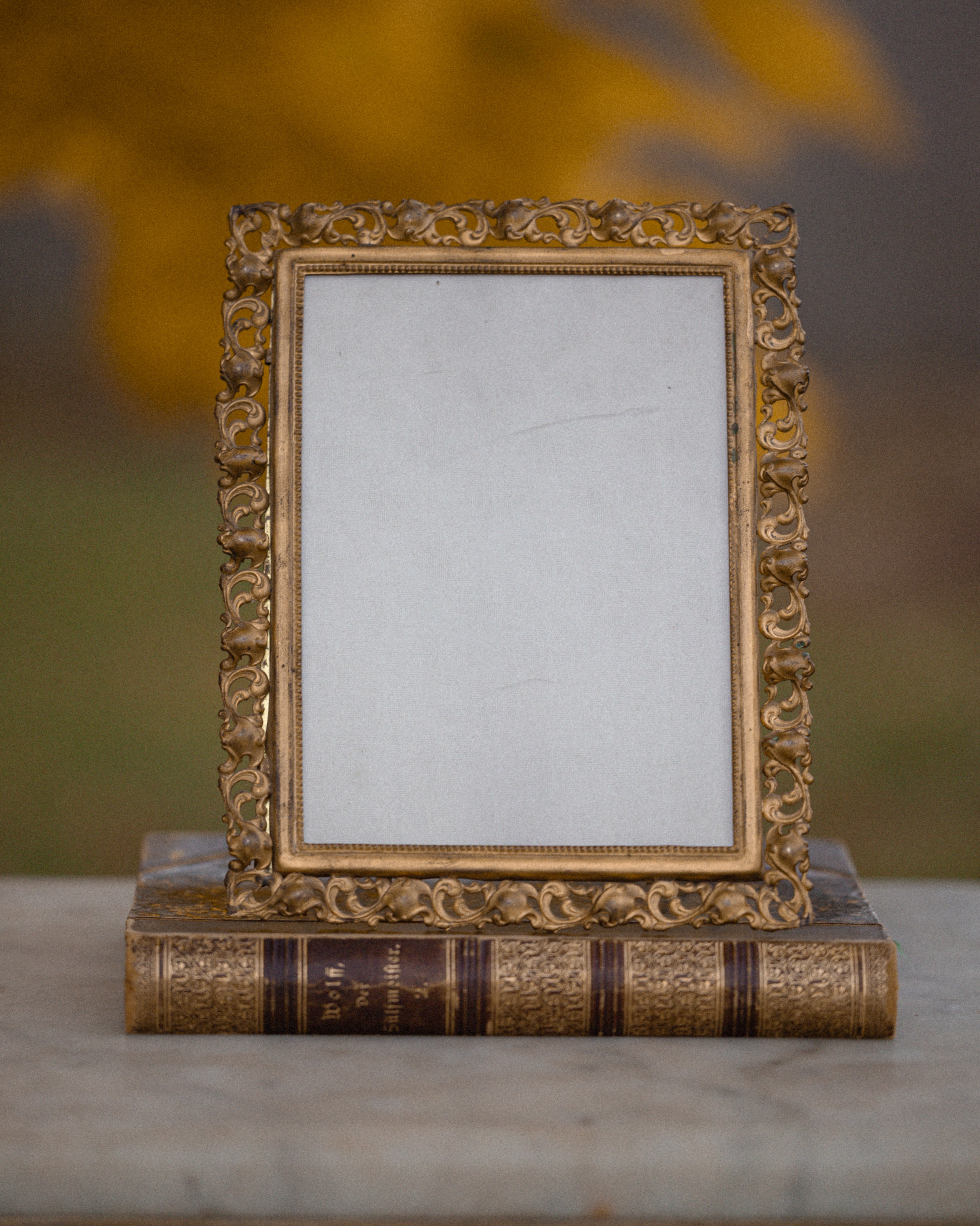 Antique Gilt Metal Frame w/ Fleur De Lis Silk Lining