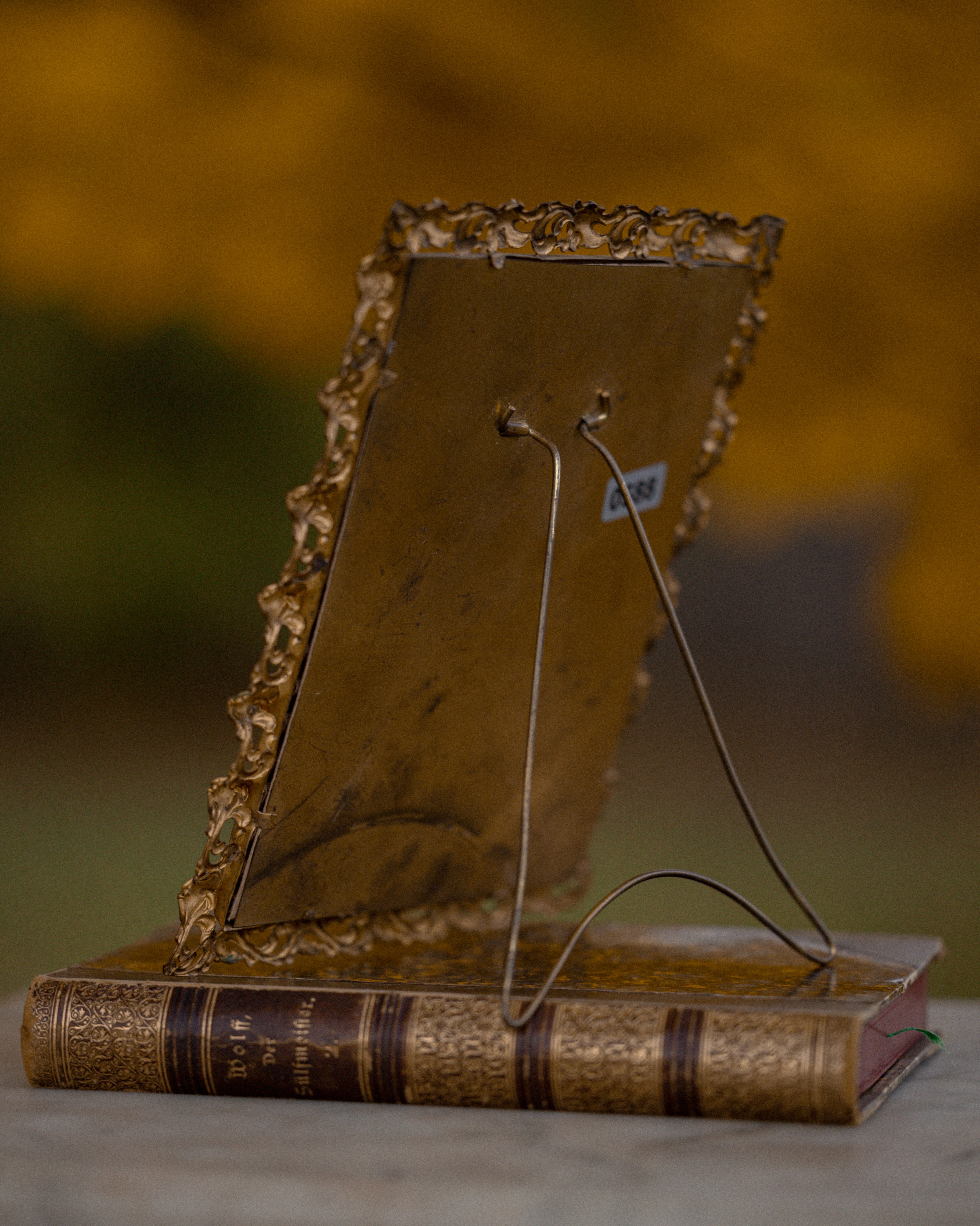 Antique Gilt Metal Frame w/ Fleur De Lis Silk Lining