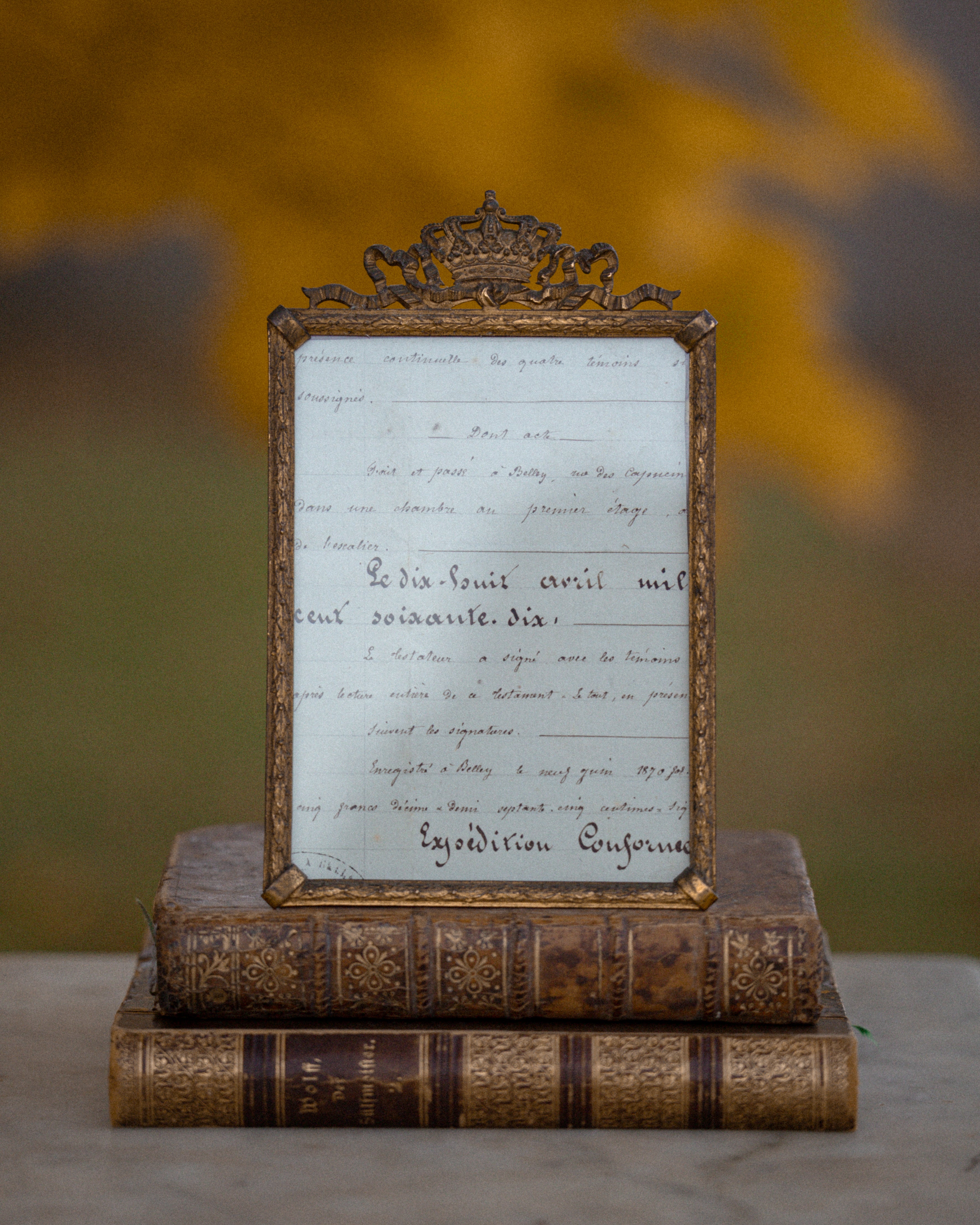 Antique French Crown & Ribbon Motif Photo Frame