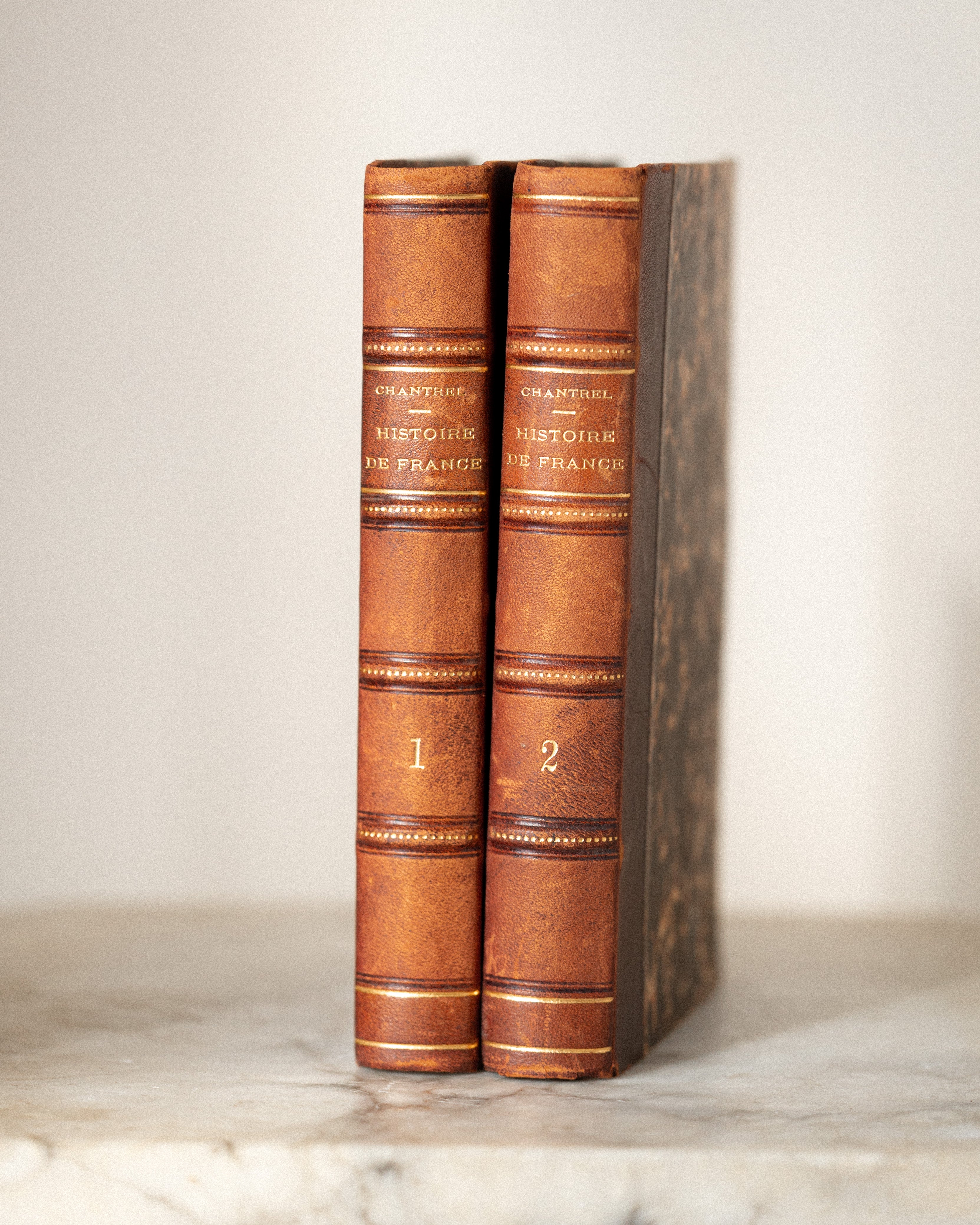 Histoire de France – 1863 French 2-Book Set