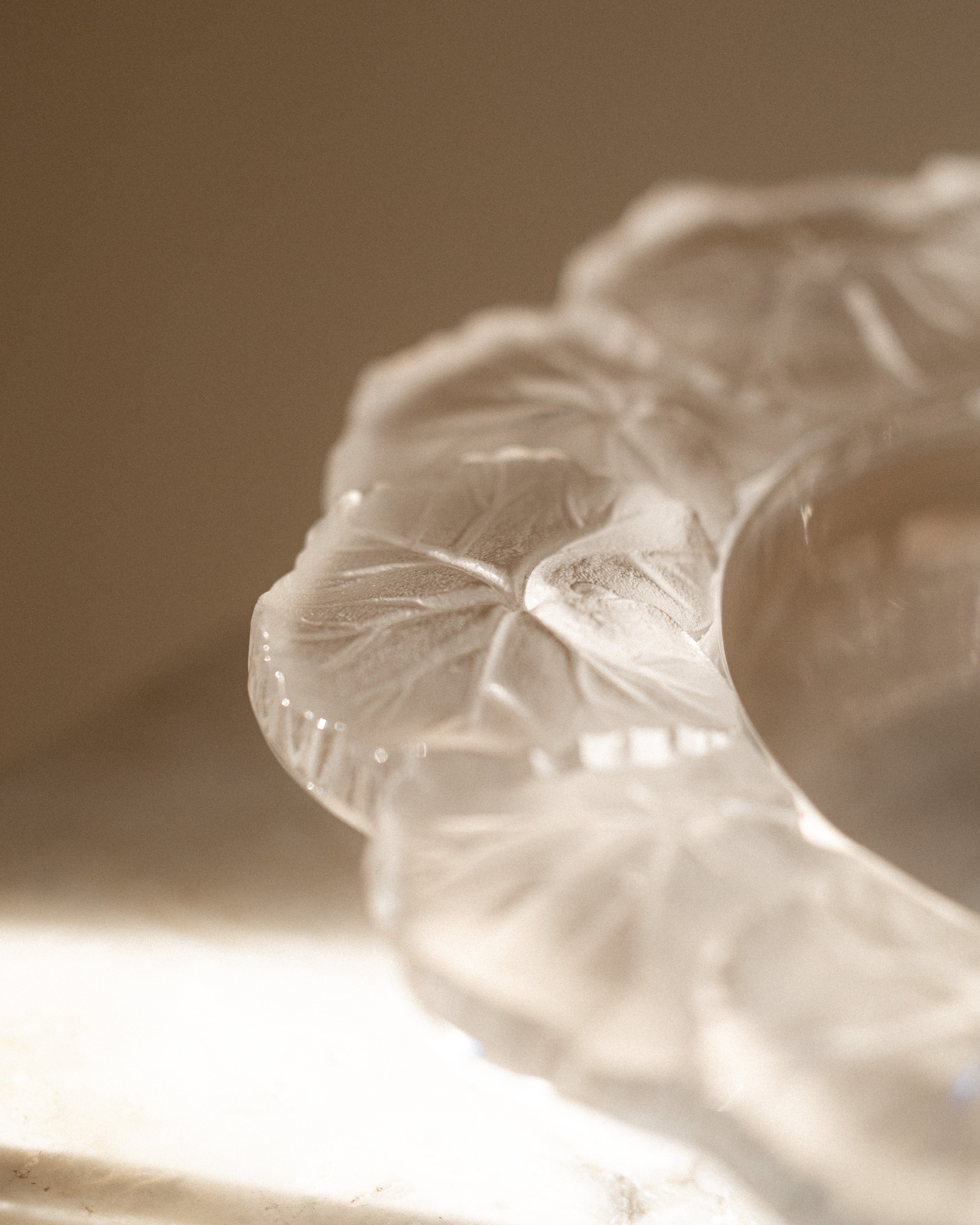 Lalique France Frosted Crystal Dish