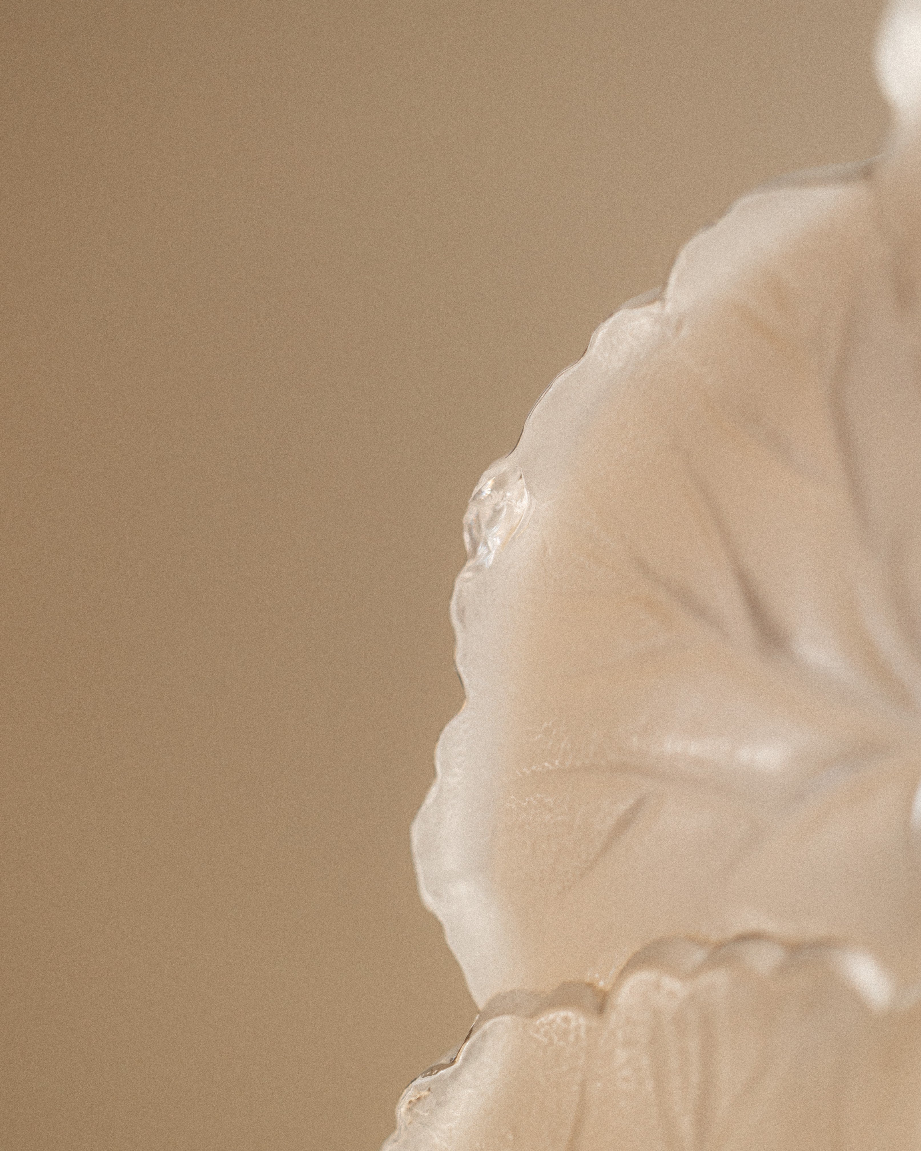 Lalique France Frosted Crystal Dish