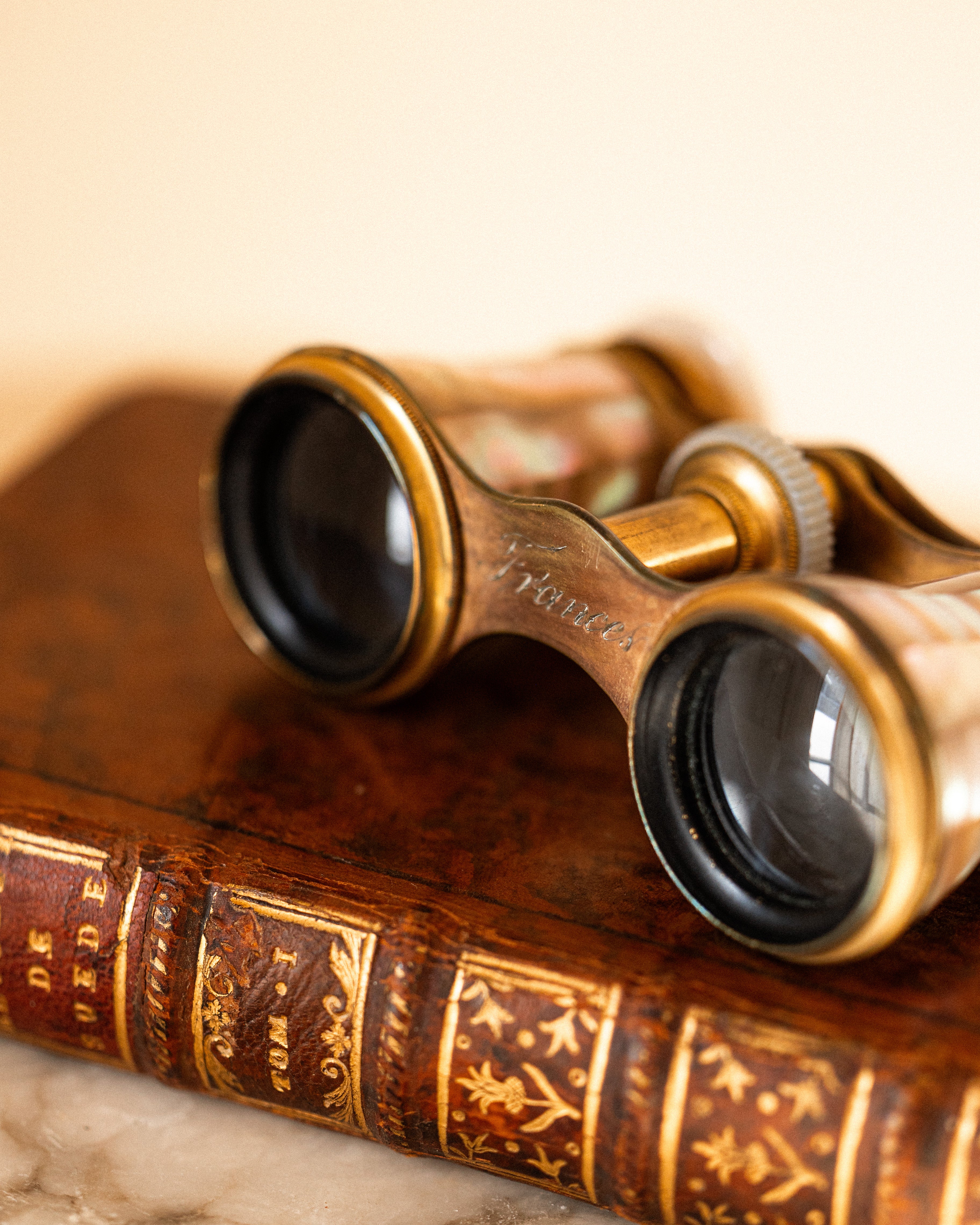 French Le Roi Antique Mother-of-Pearl Opera Glasses