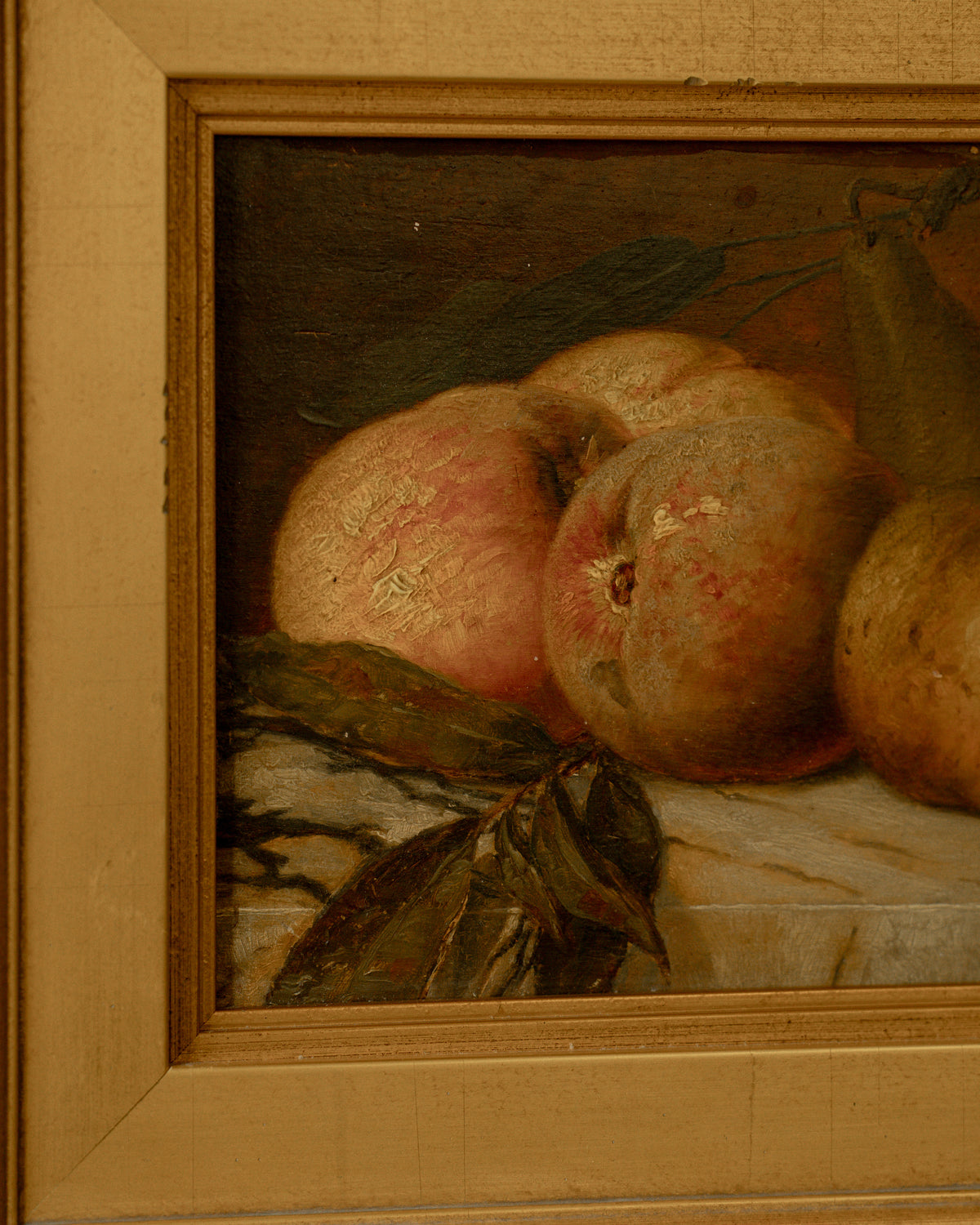 1895 Fruit Still-life painting by German artist Franz Molitor