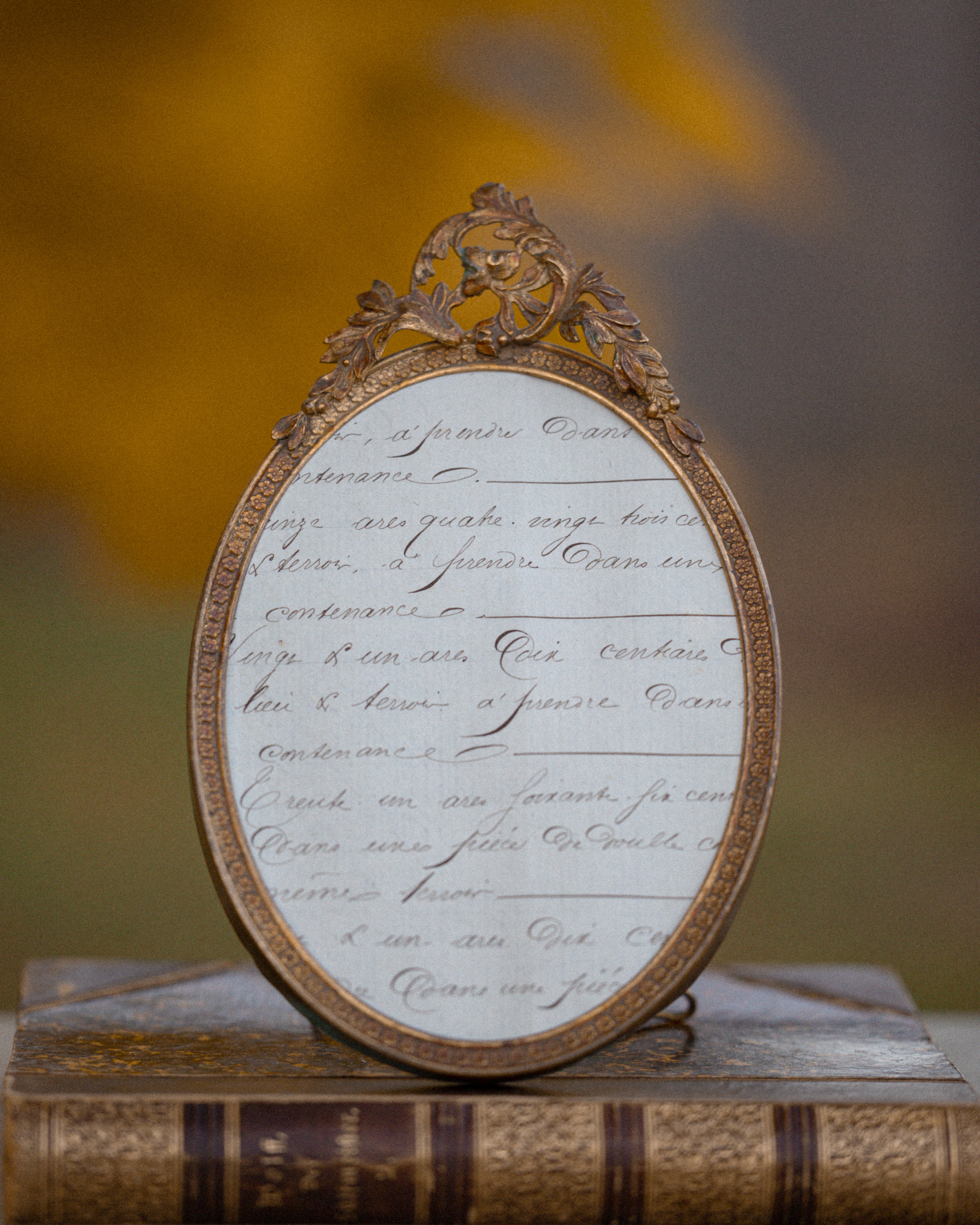 French Gilt Metal Oval Ornate Frame
