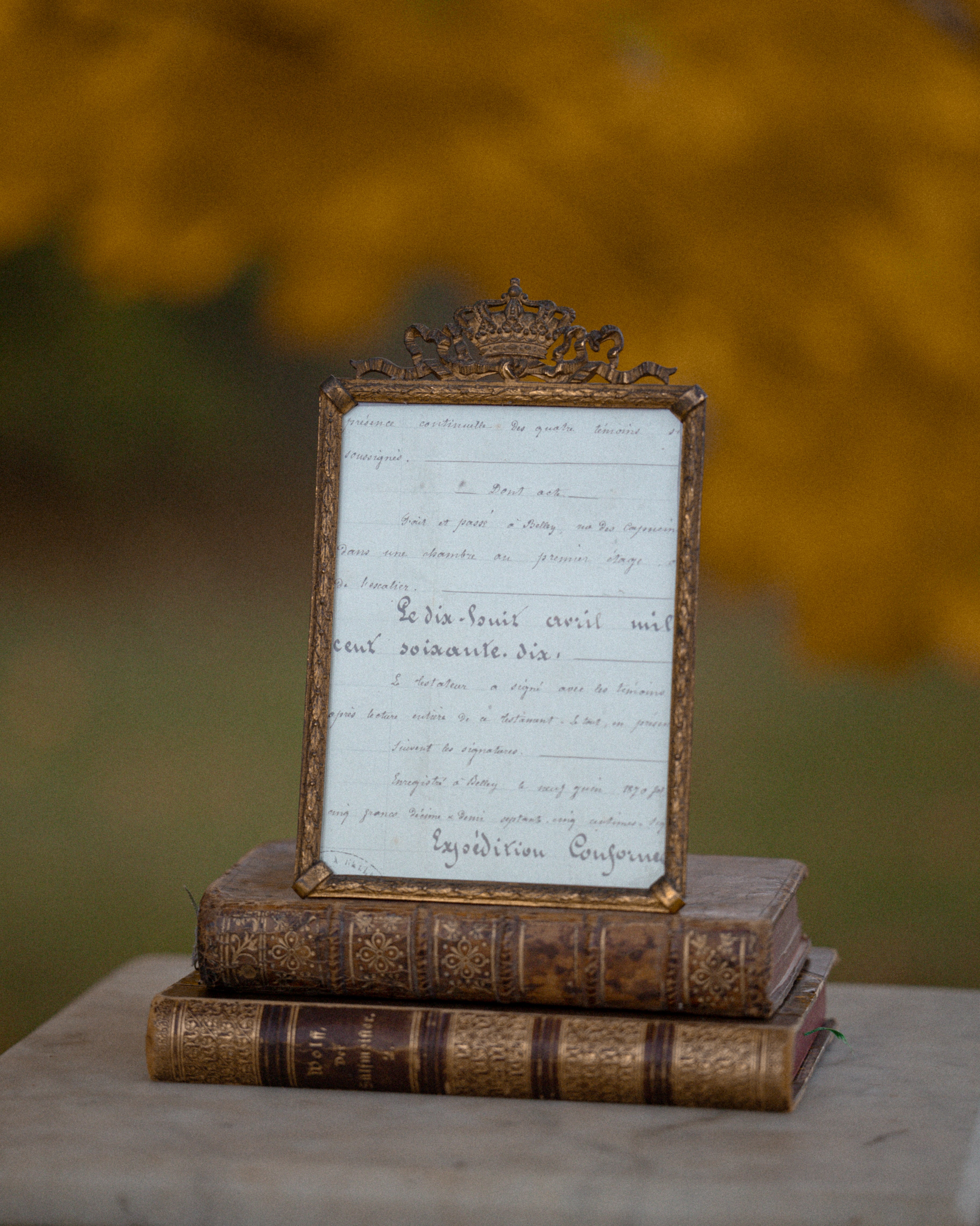 Antique French Crown & Ribbon Motif Photo Frame