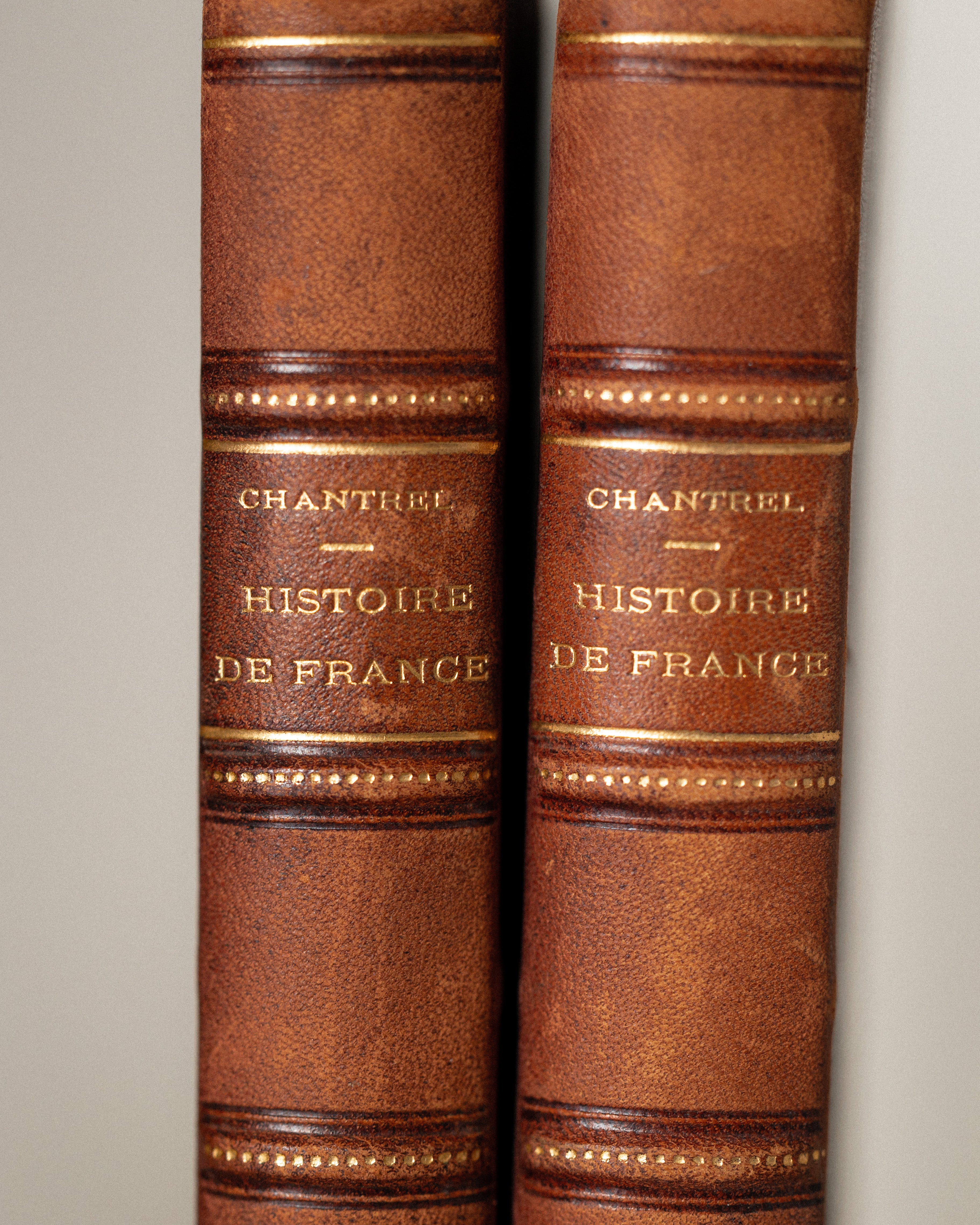 Histoire de France –  1863 French 2-Book Set