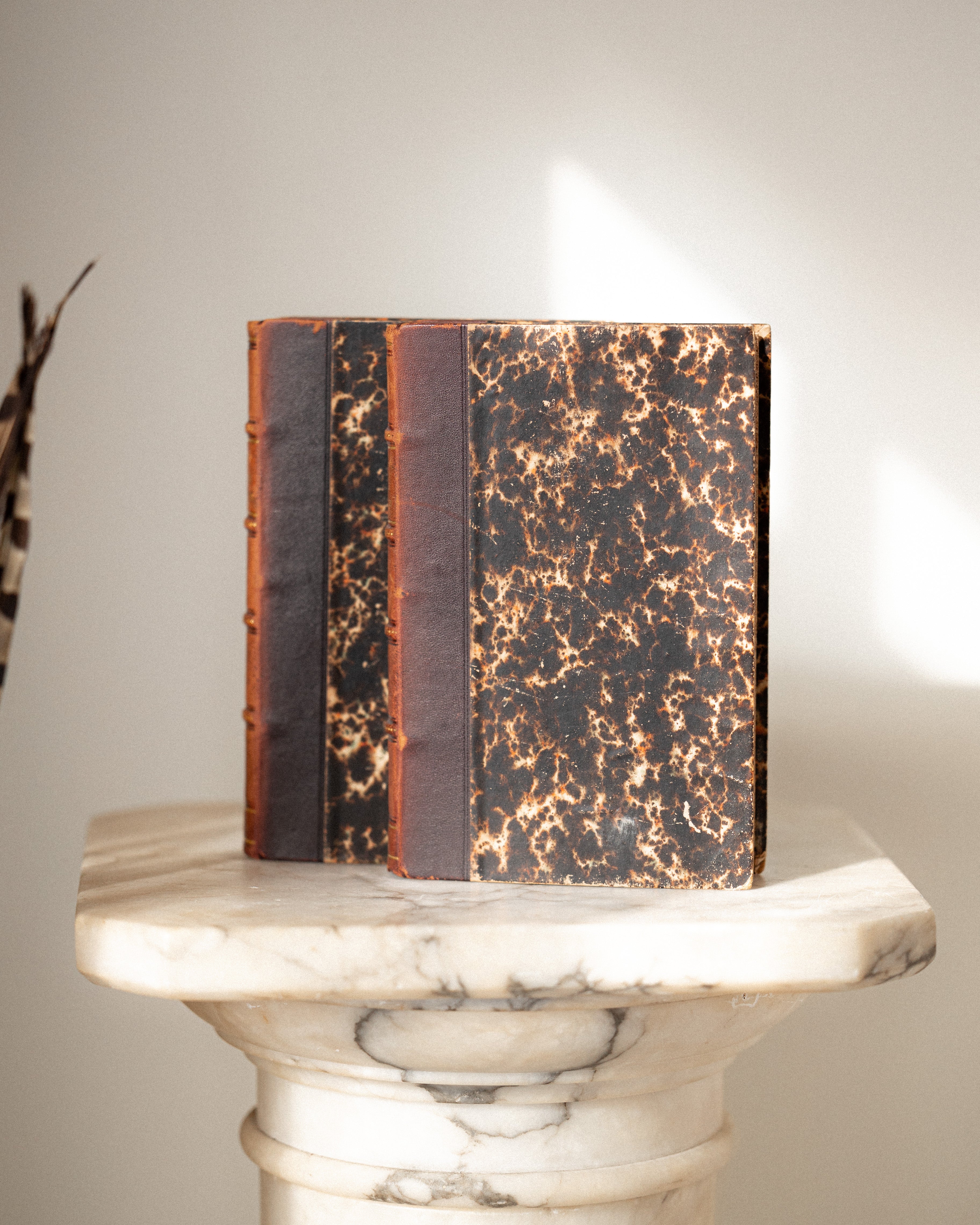 Histoire de France –  1863 French 2-Book Set