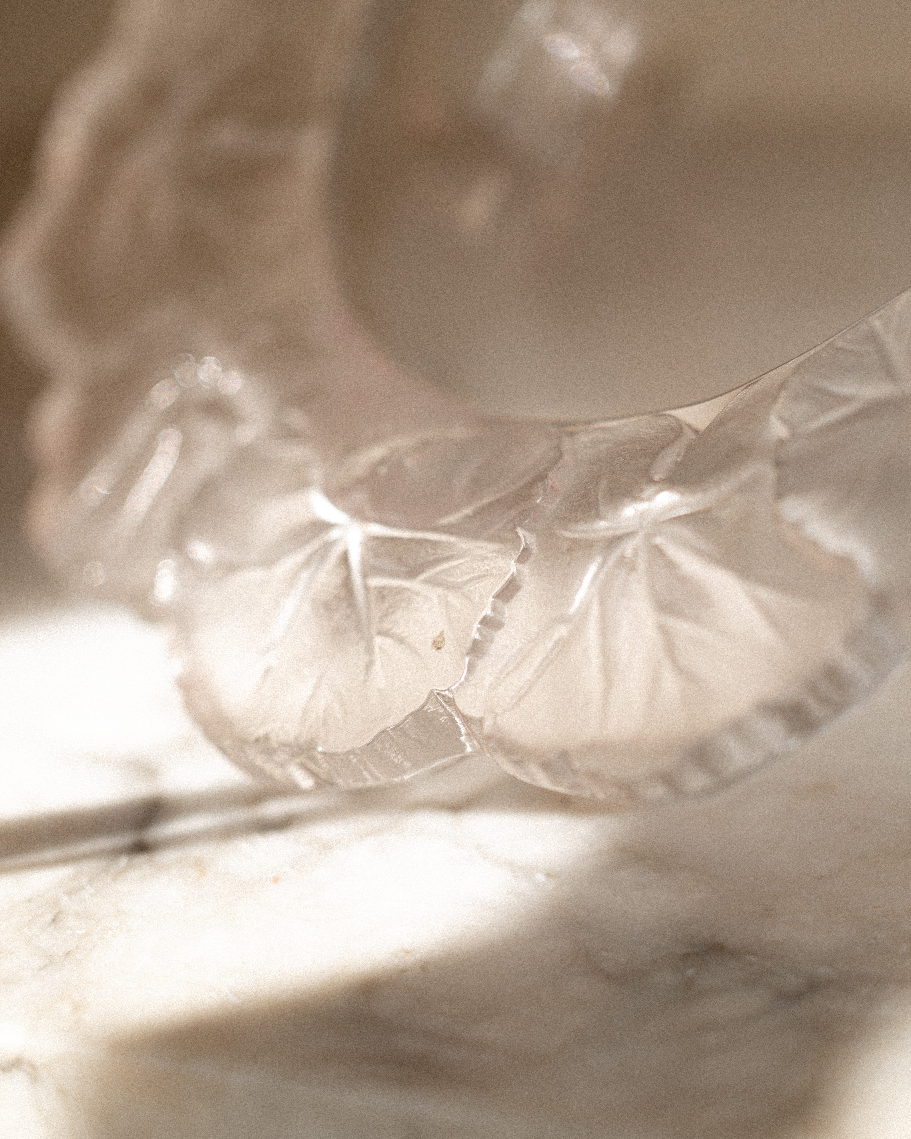 Lalique France Frosted Crystal Dish