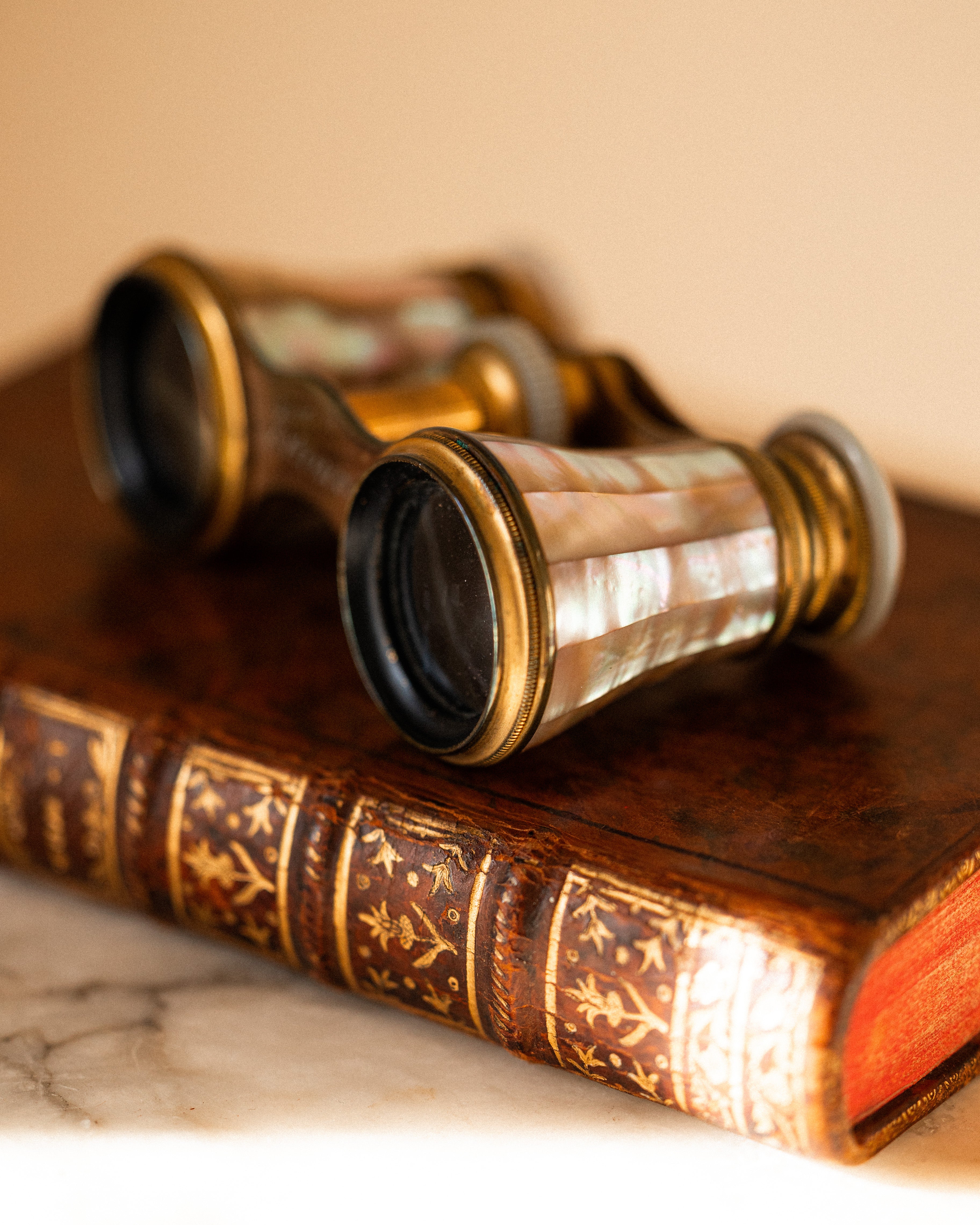 French Le Roi Antique Mother-of-Pearl Opera Glasses