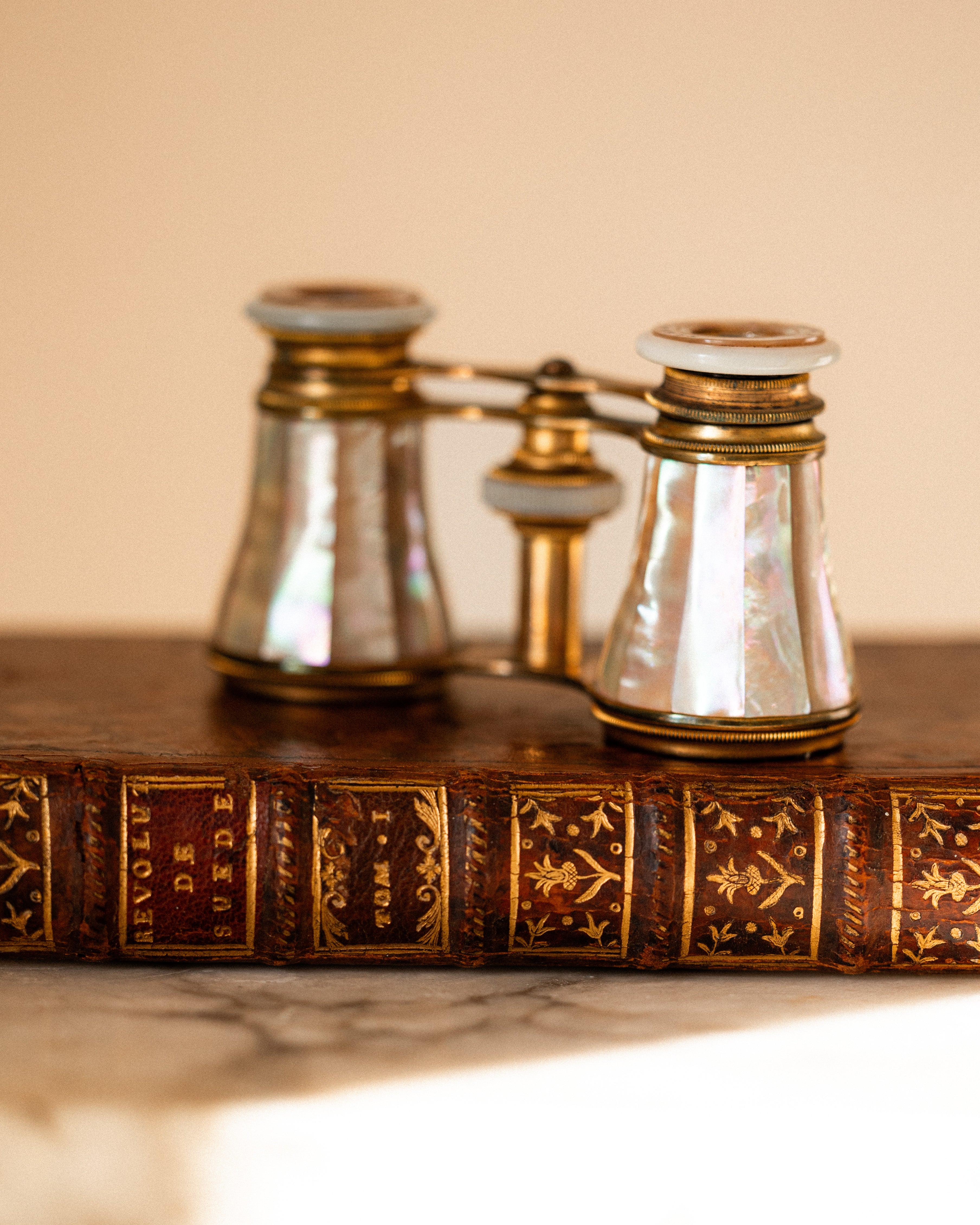 French Le Roi Antique Mother-of-Pearl Opera Glasses